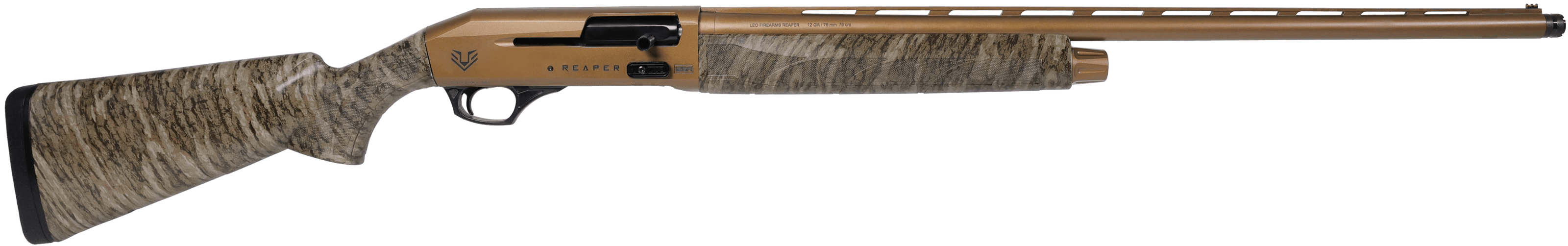 BOTTOMLAND