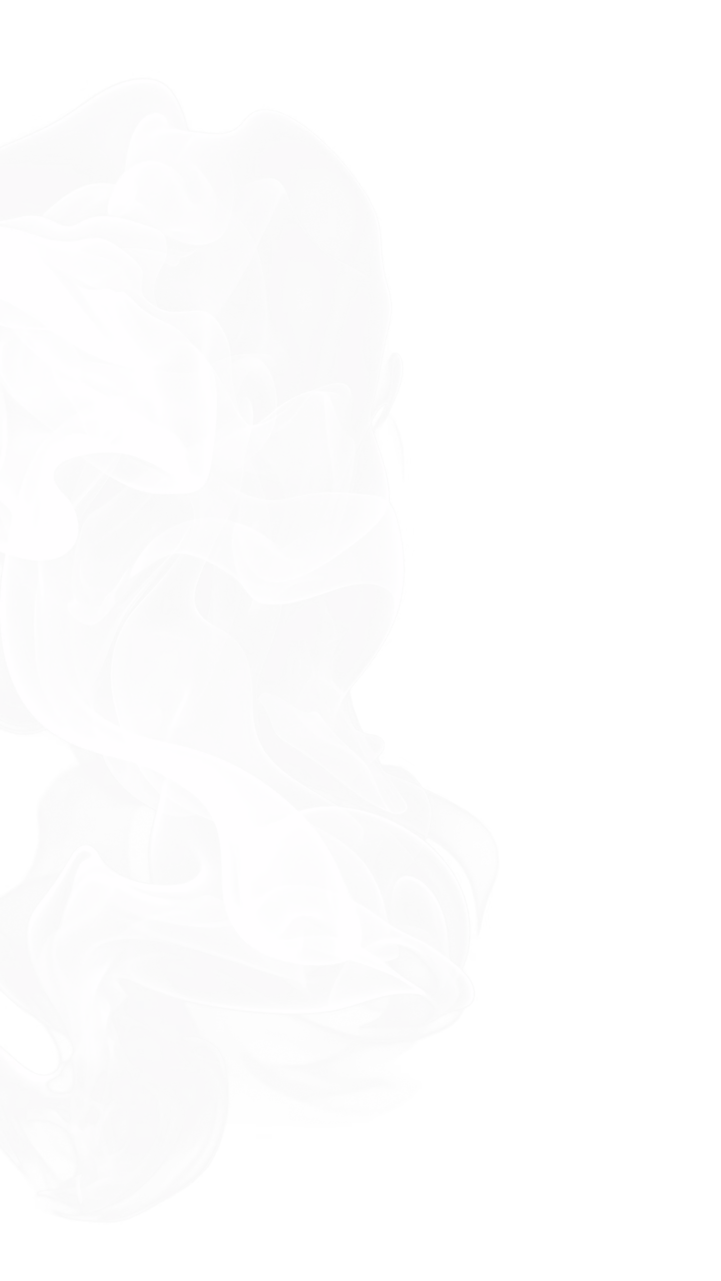 Leo Firearms product image.